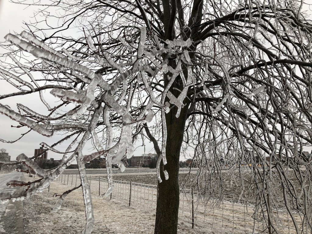 B91F4E26-66CA-41AB-877A-18900046B5F0.jpeg
