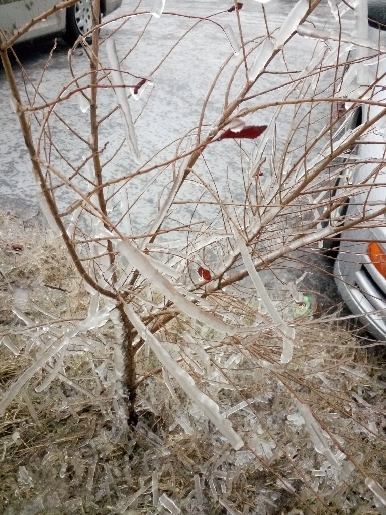 IMG_20180416_083407.jpg