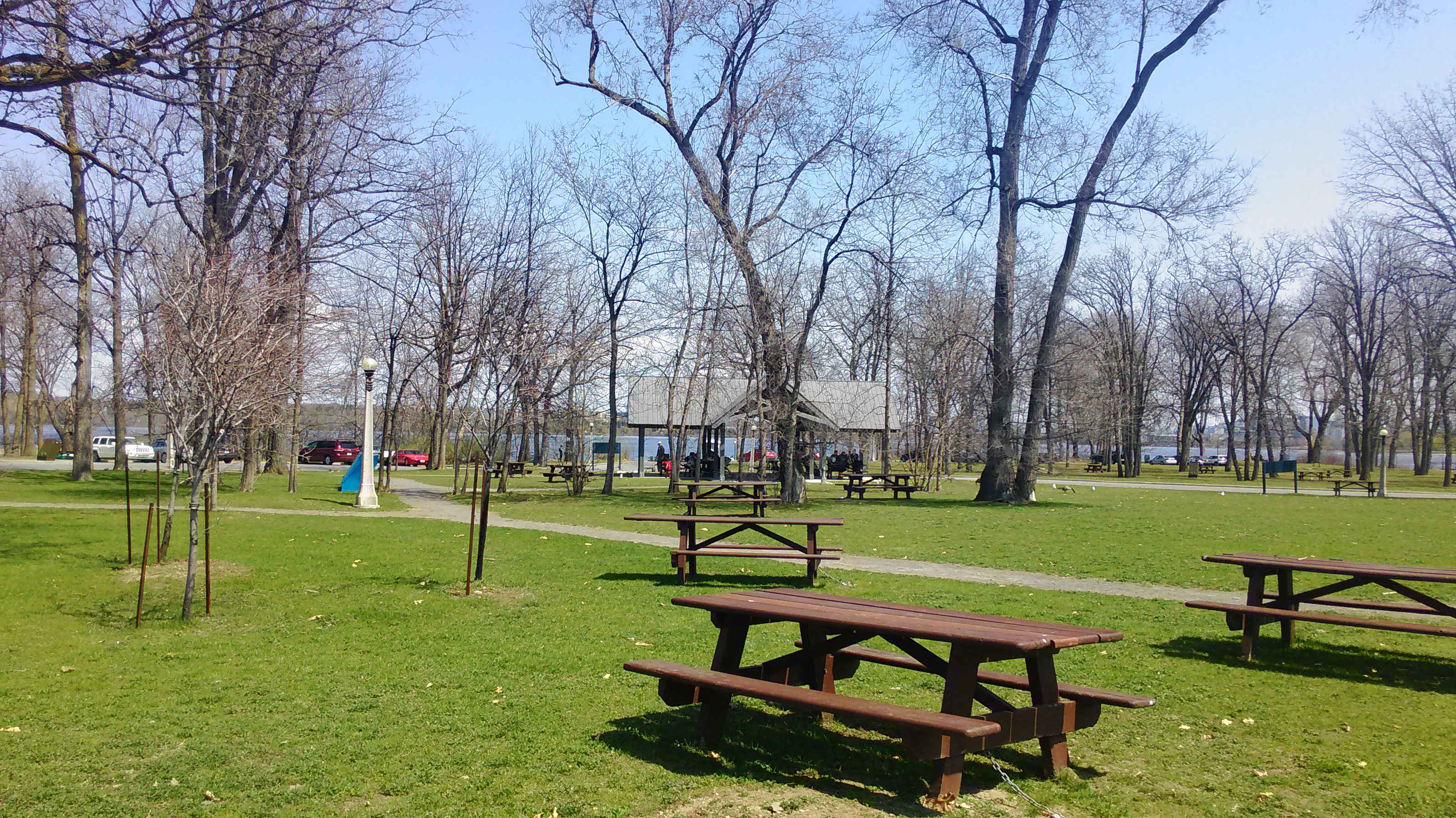 P_20150503_123819.jpg