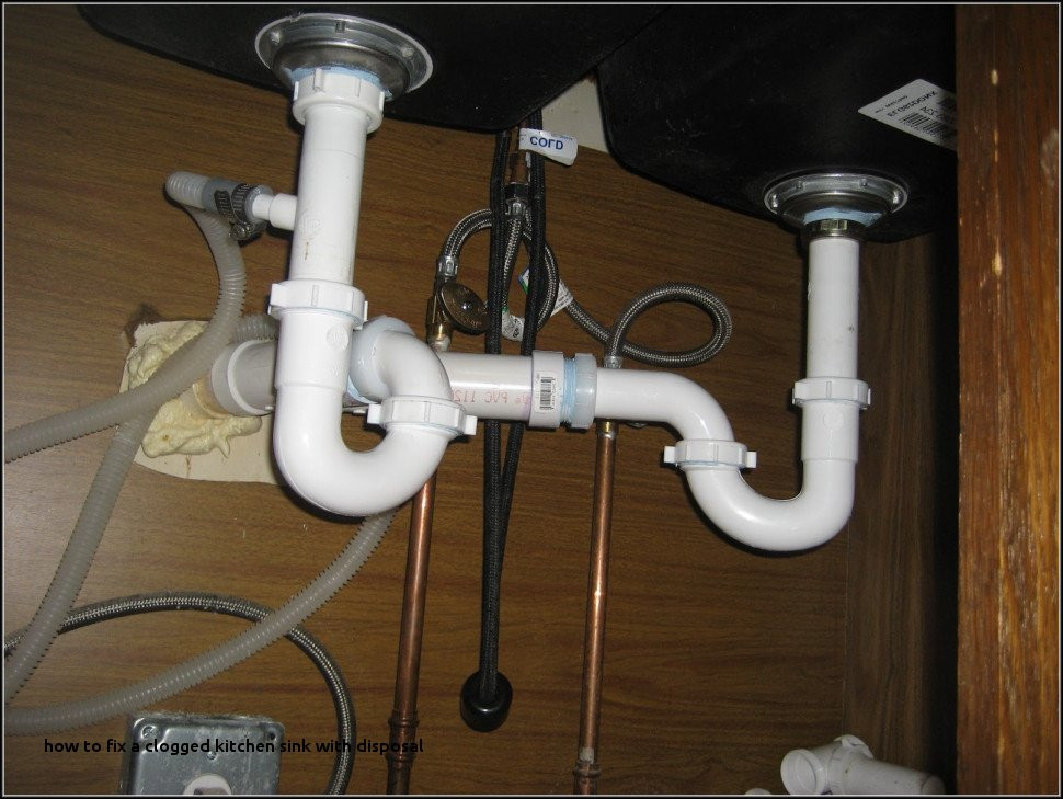 flies-in-kitchen-drain-awesome-27-.jpg