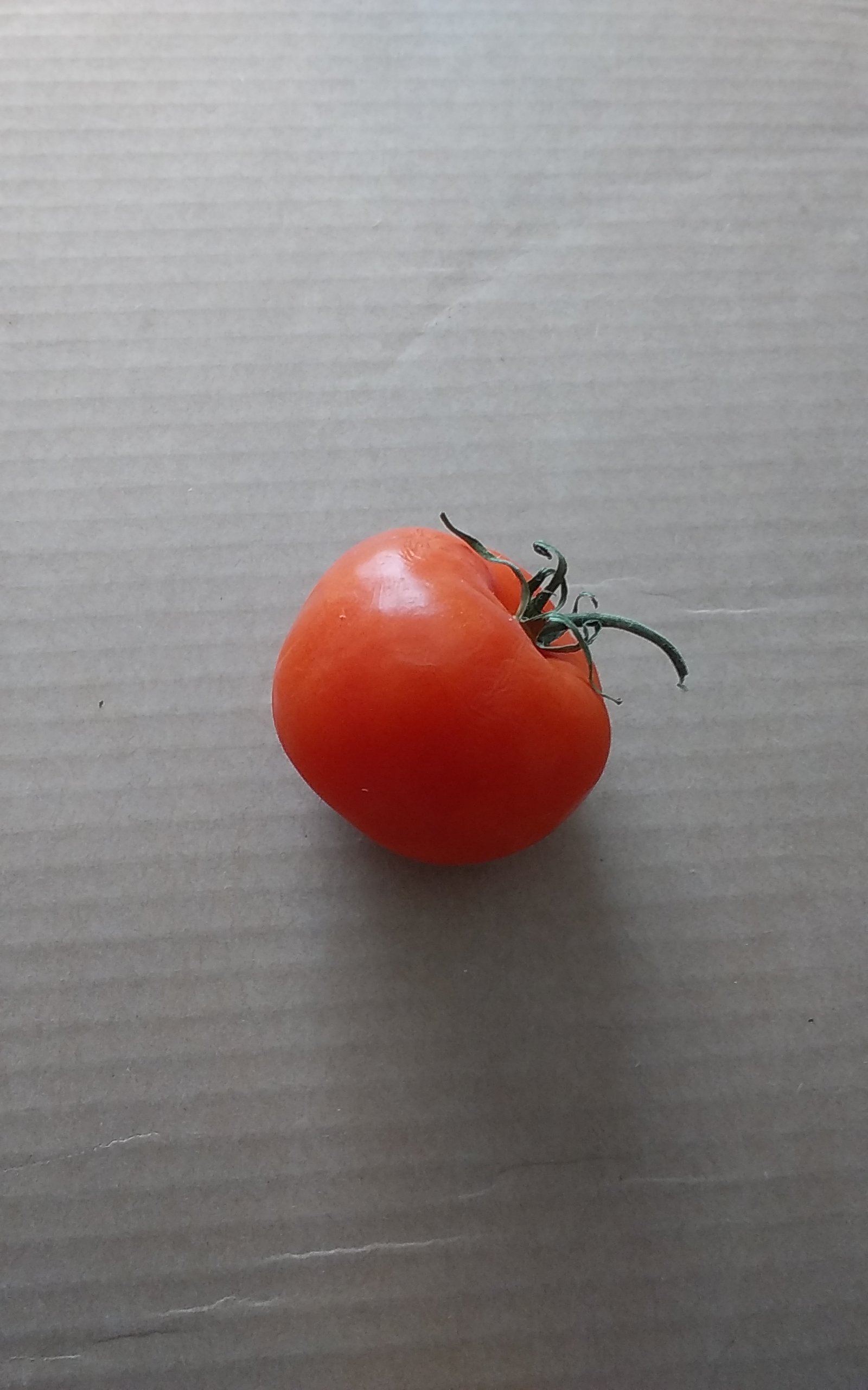 20180712_093137.jpg