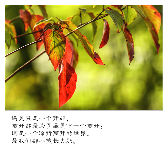 DSC_2501_2.jpg