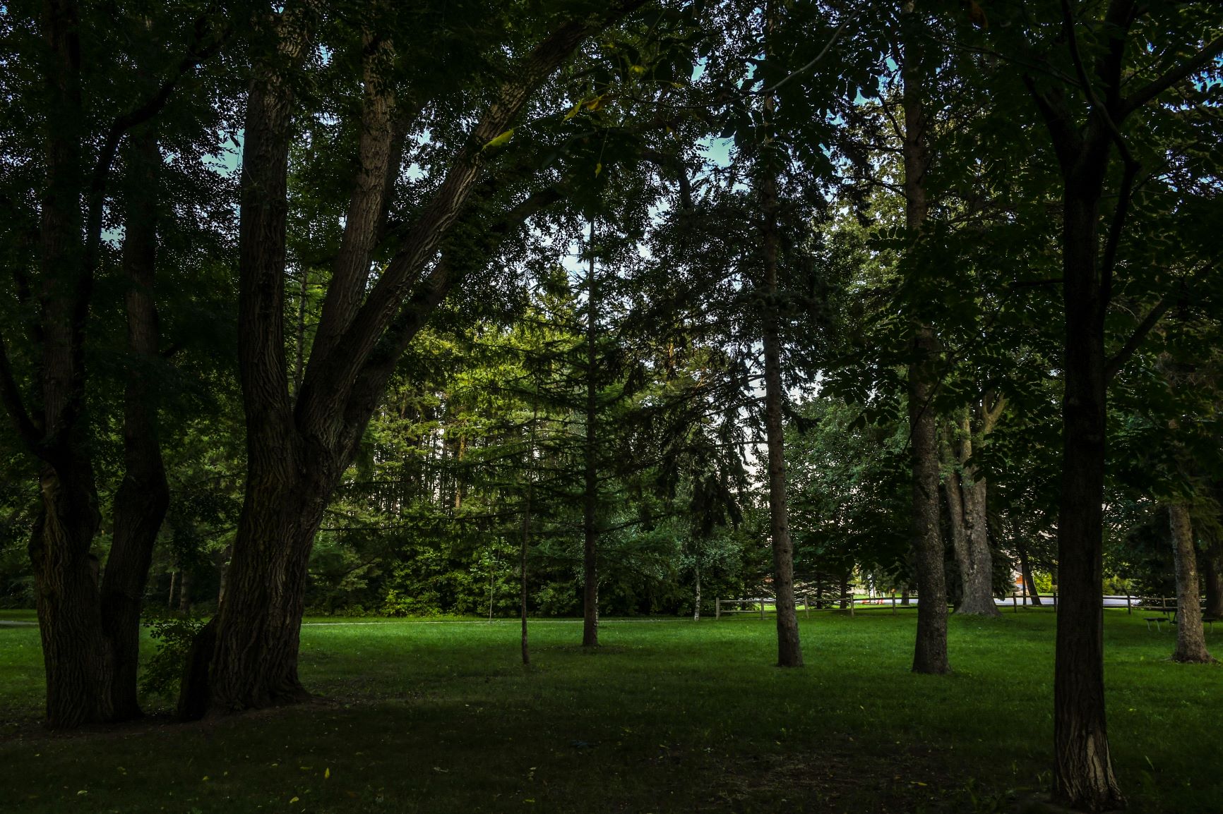 DSC_3654-1.jpg