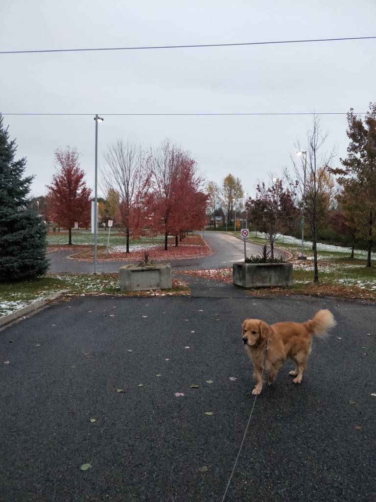 IMG20181028180023.jpeg