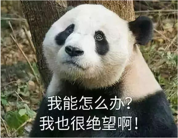 upload_2018-12-4_12-0-55.png