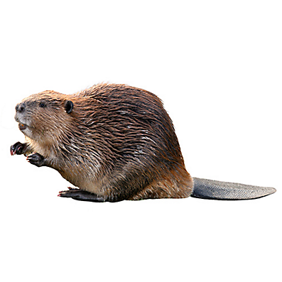 upload_2018-12-14_14-6-35.png