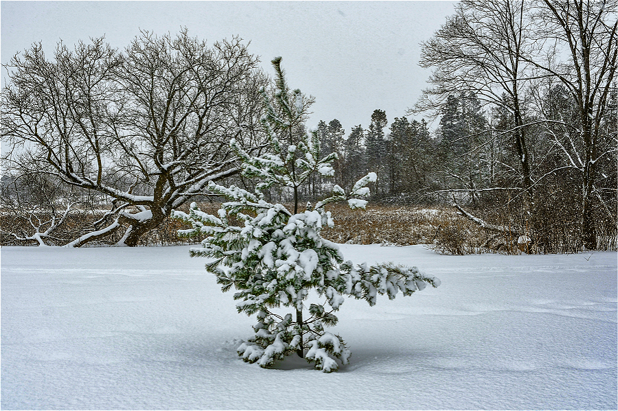 DSC_1738_1.jpg