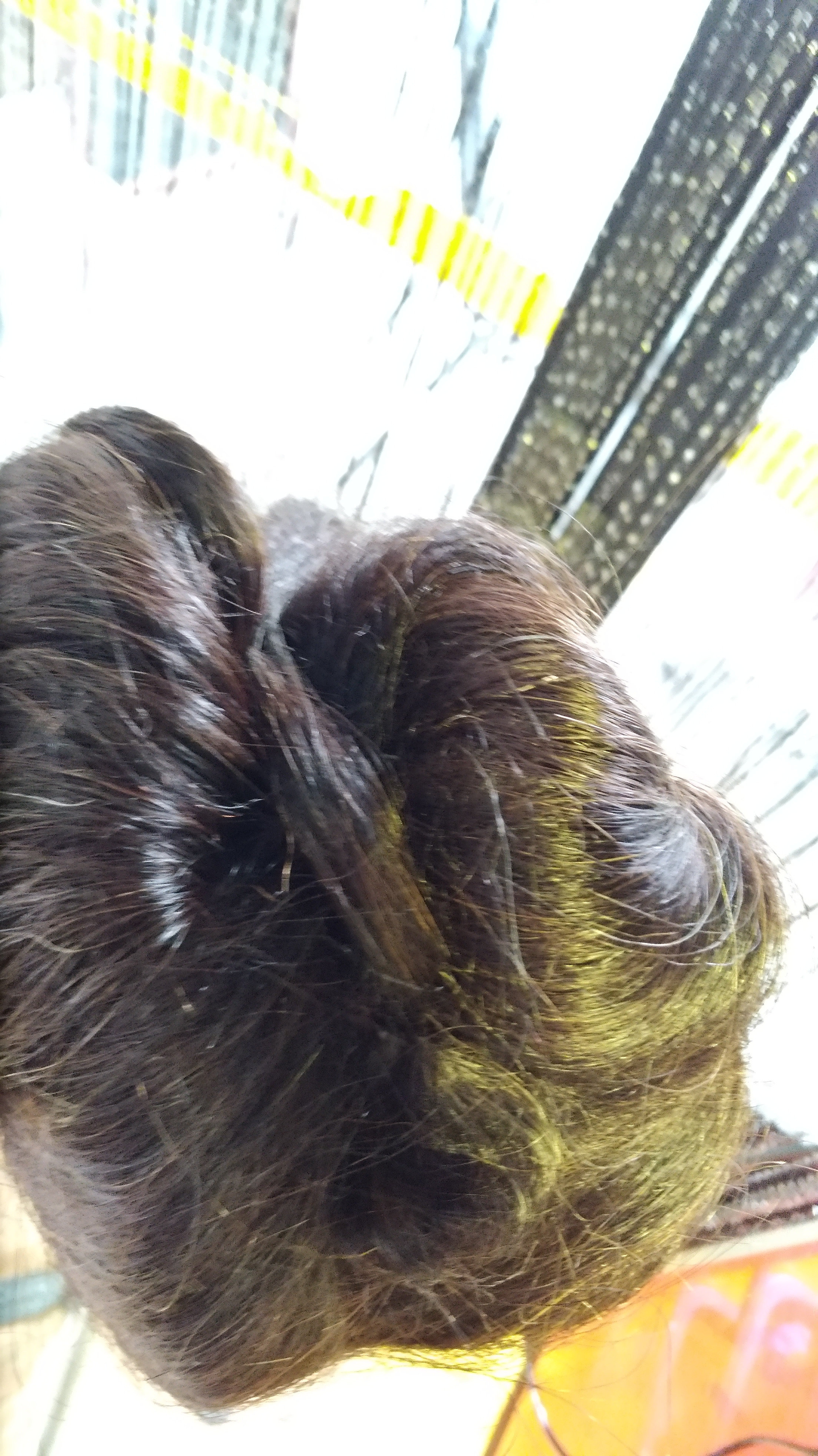 P_20190322_103751_vHDR_Auto.jpg
