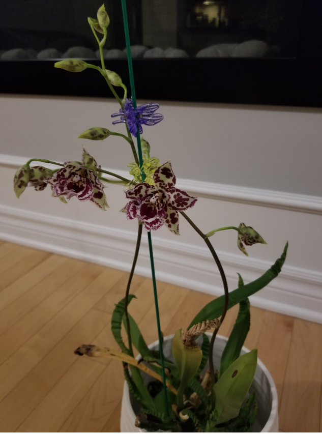 upload_2019-4-19_20-47-19.png