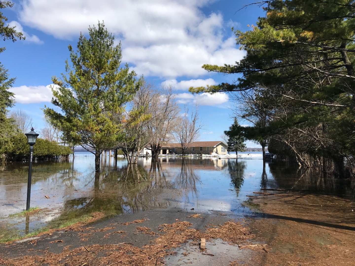 flood12.jpg