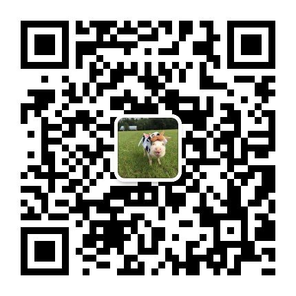 mmqrcode1557964279085.jpeg