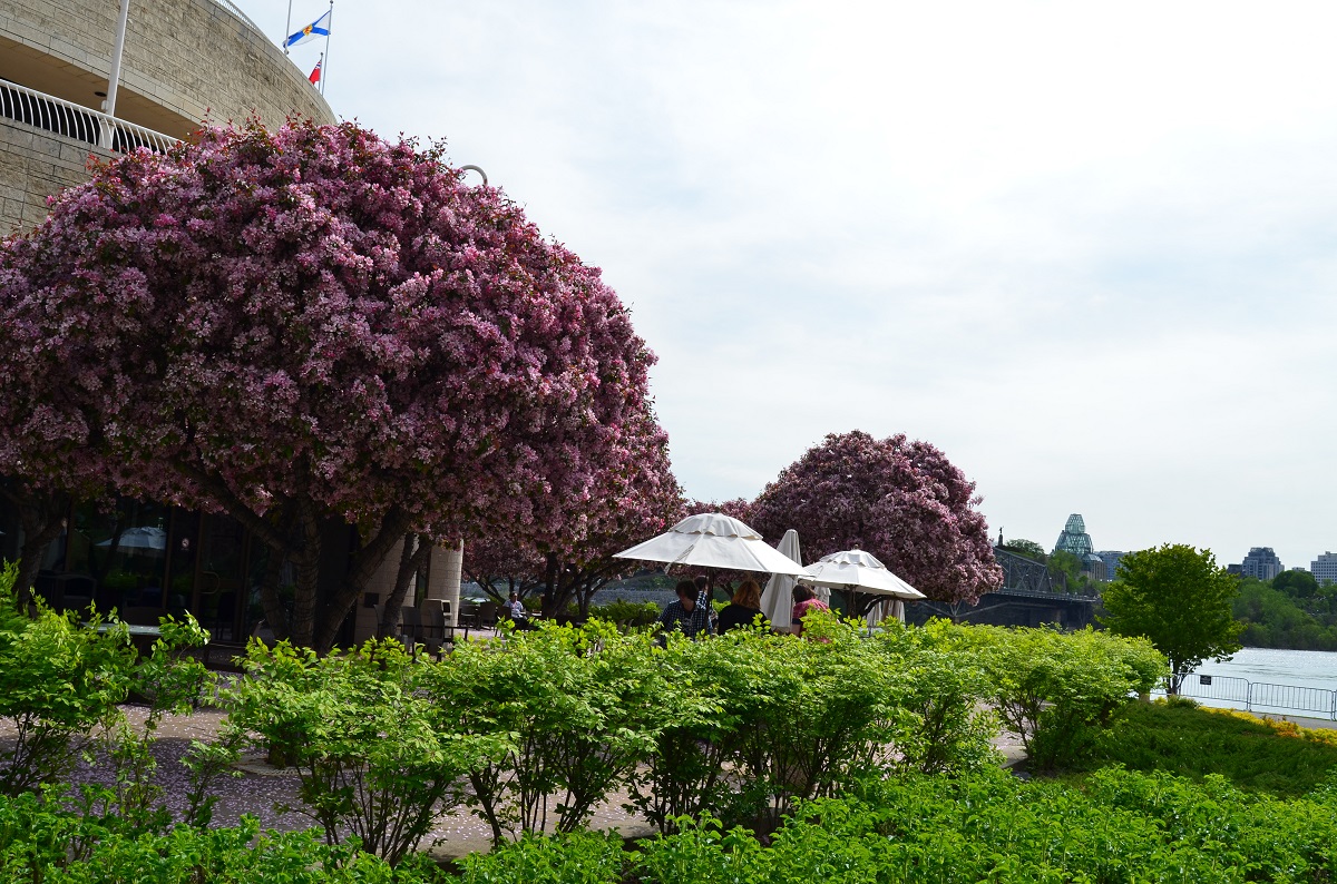 DSC_2420.JPG