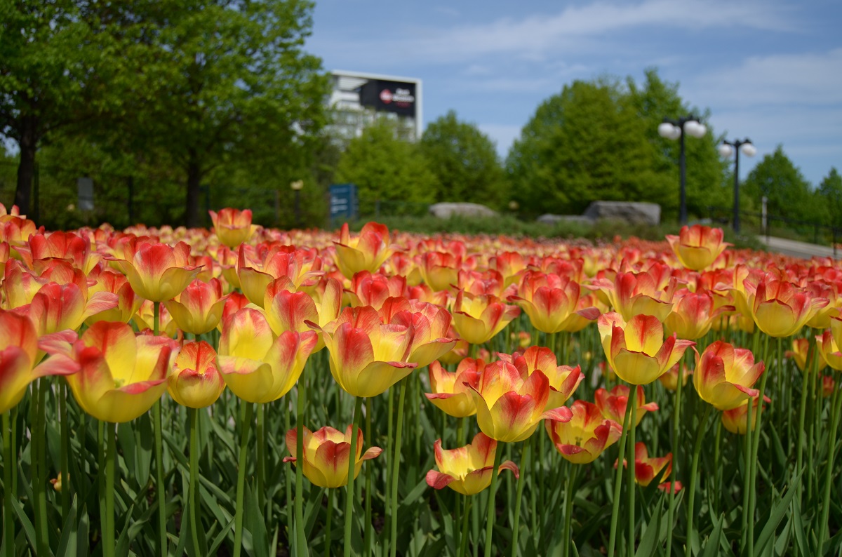DSC_2398.JPG