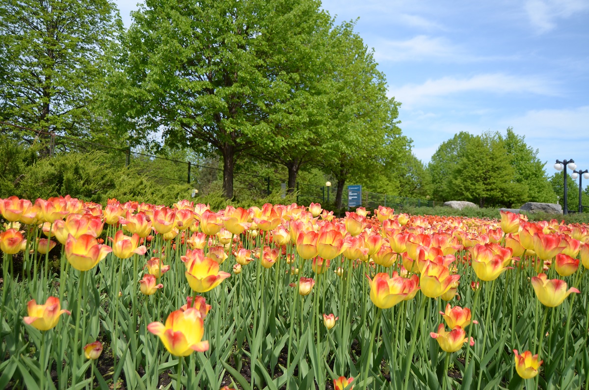 DSC_2399.JPG