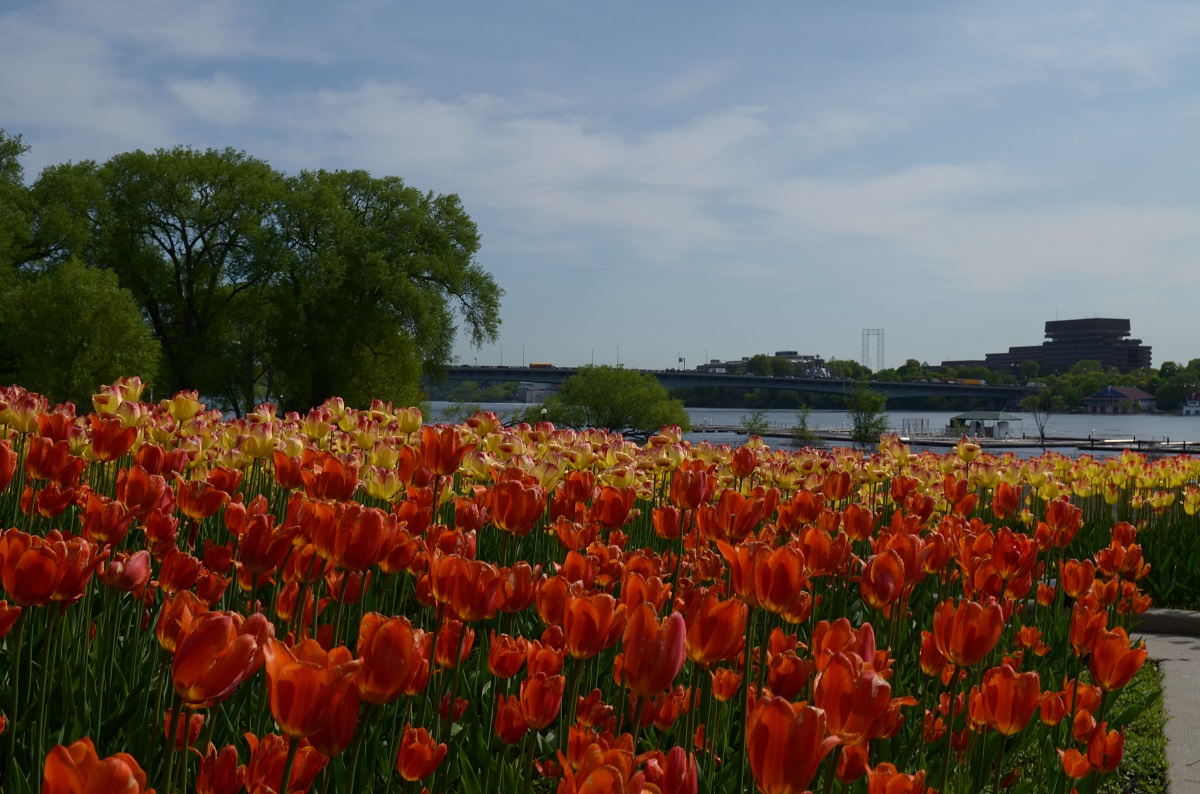 DSC_2404.JPG