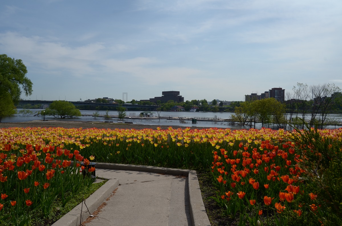 DSC_2405.JPG