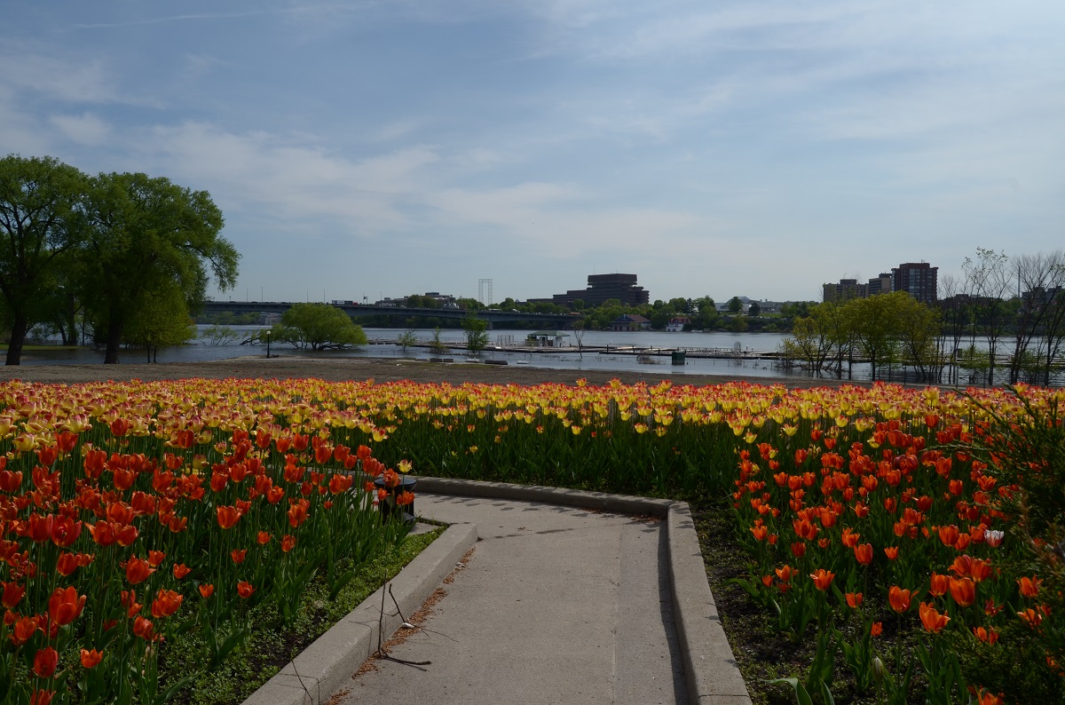 DSC_2406.JPG