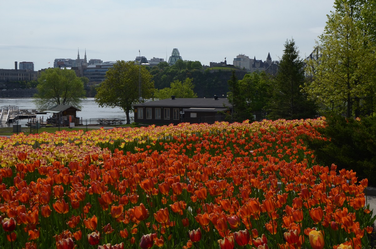 DSC_2407.JPG