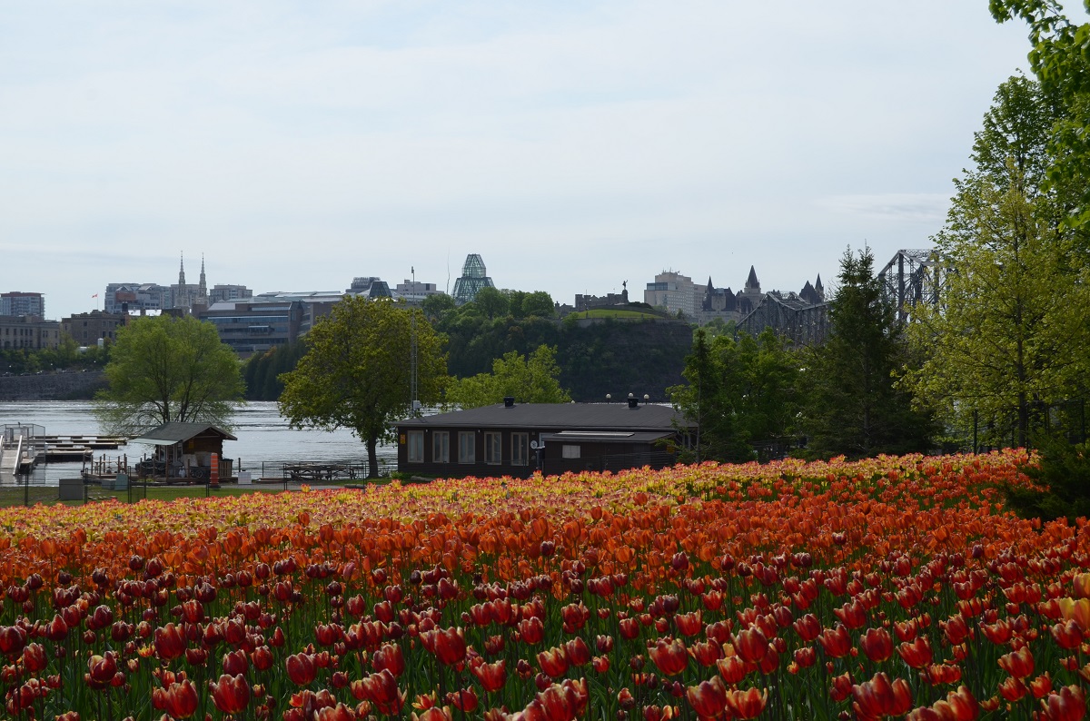 DSC_2409.JPG
