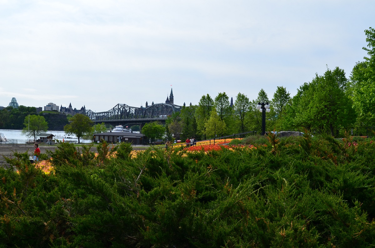 DSC_2418.JPG