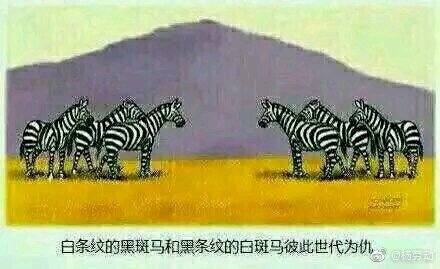 img-b514aadb1d14e9ffb1cb76b41b98e75b.jpeg