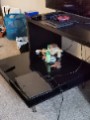 webwxgetmsgimg-7.jpg