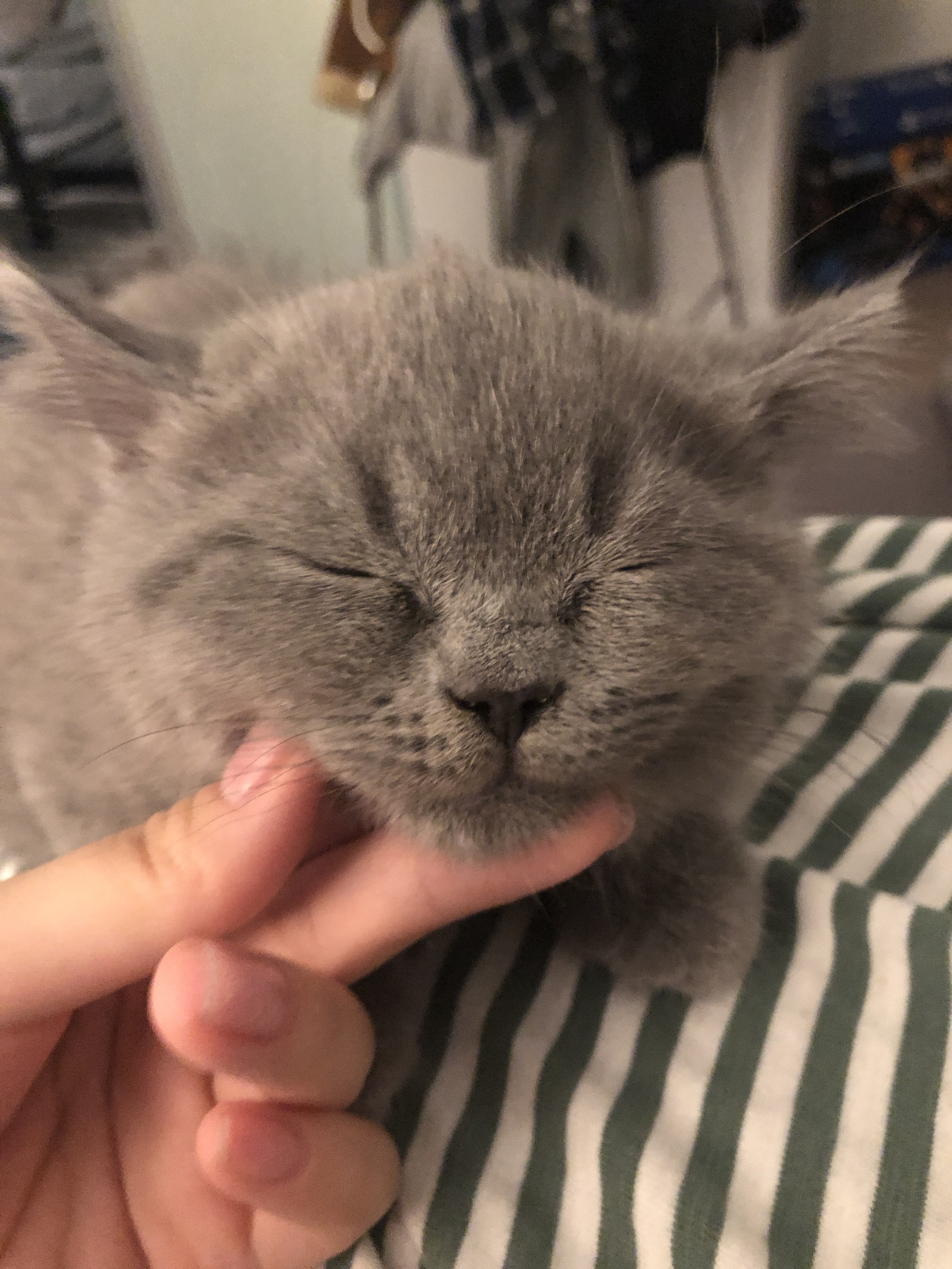 upload_2019-8-12_20-43-3.jpeg