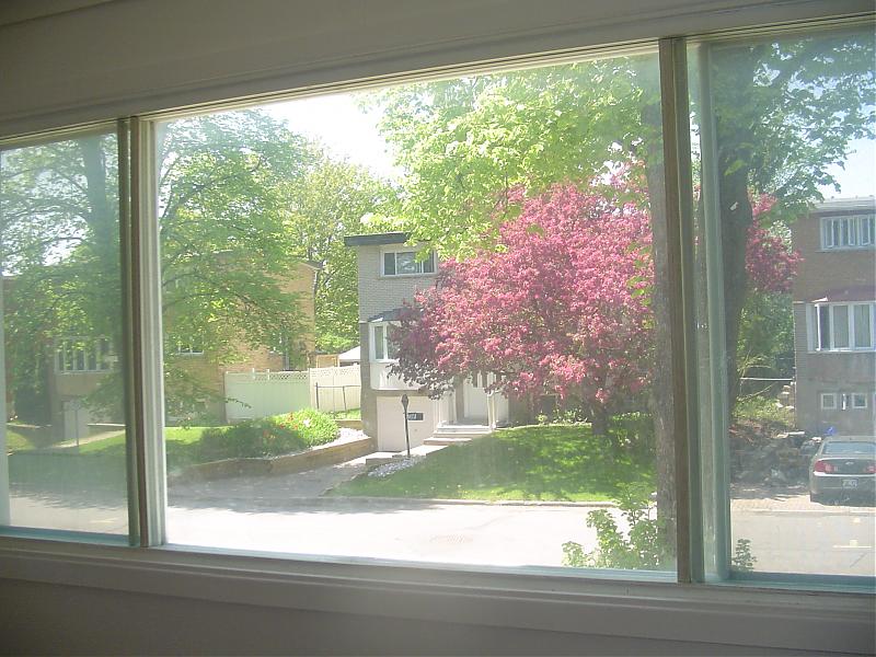window street view.jpg