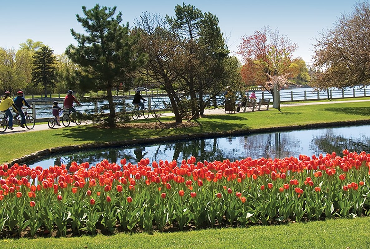 tulip-festival.jpg