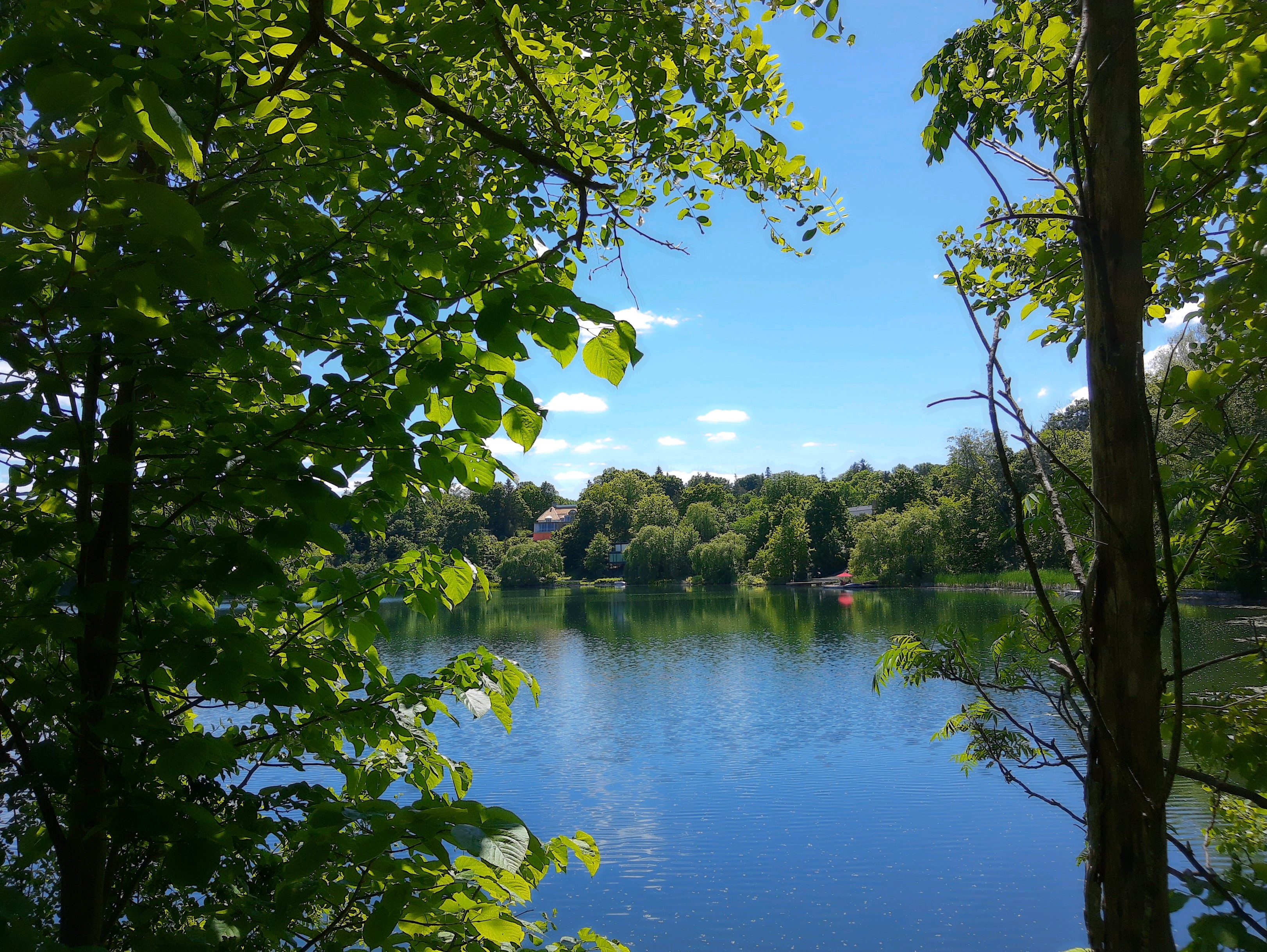 Mckay Lake - 11.jpg