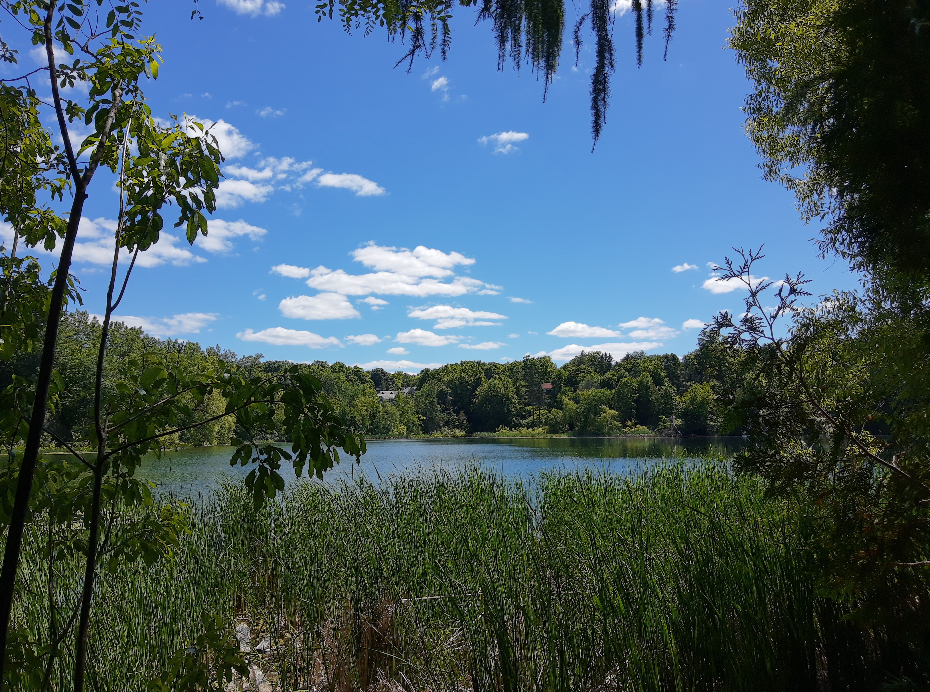 Mckay Lake - 22.jpg