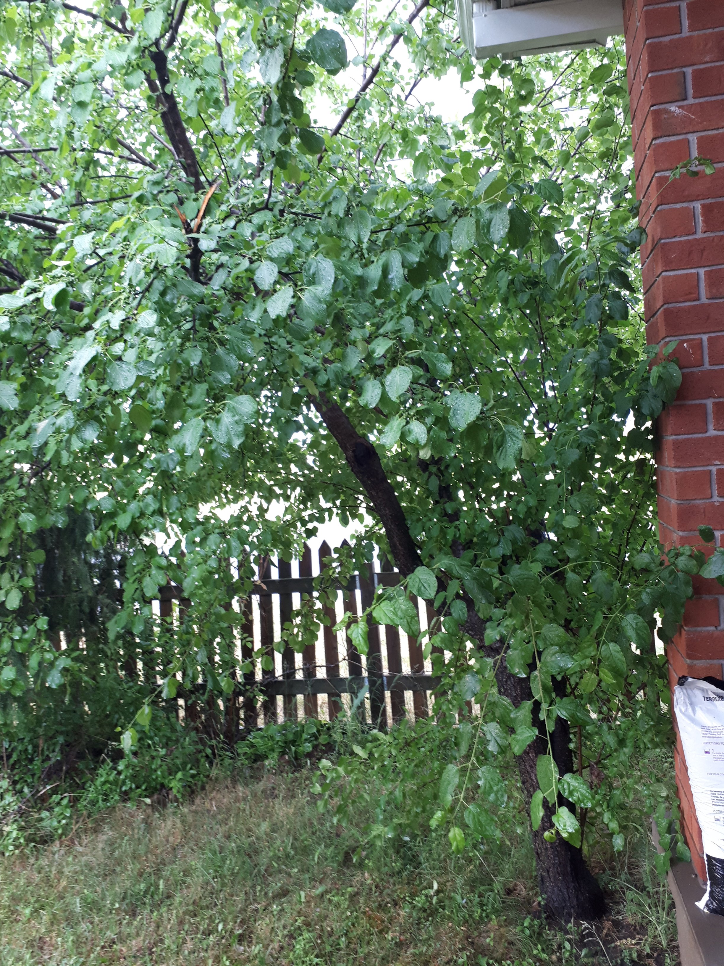 20200628_193618.jpg