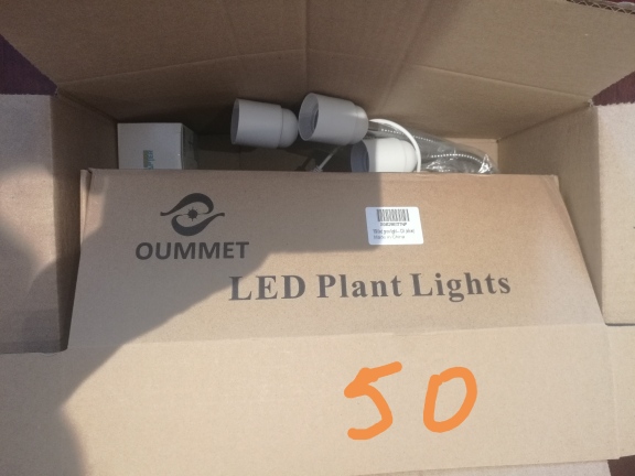 plant light.jpg