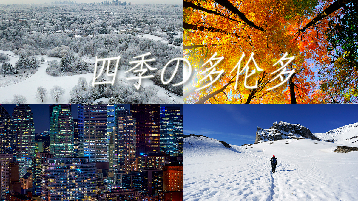 未标题-1.jpg
