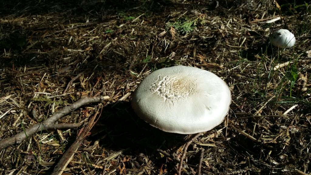 20200830_100651.jpeg