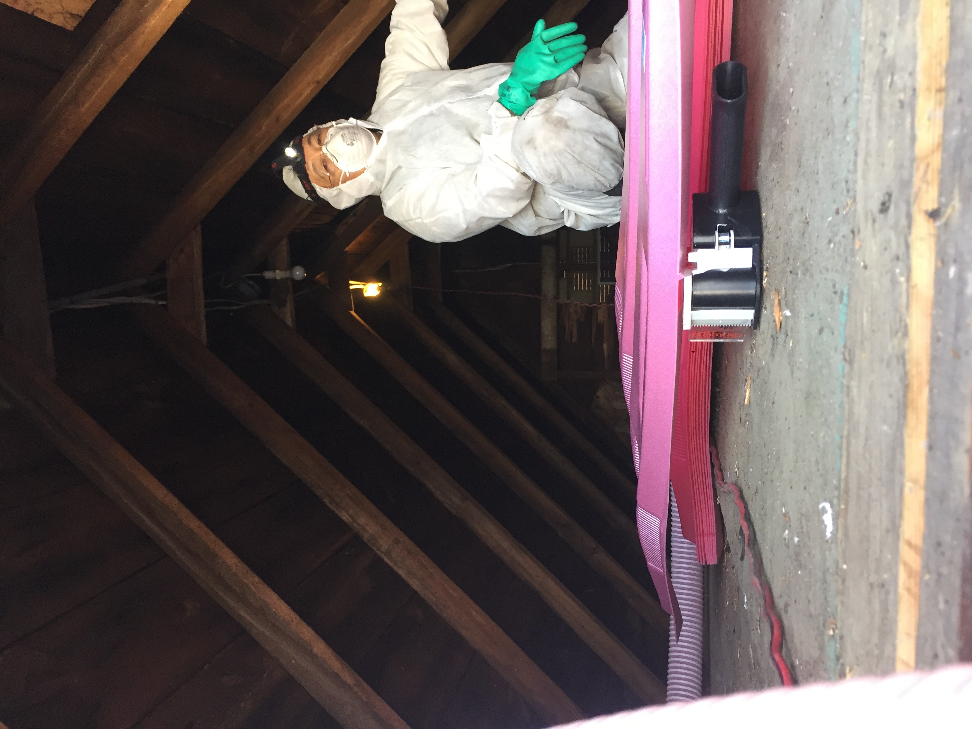 attic picture 2020-5.jpg