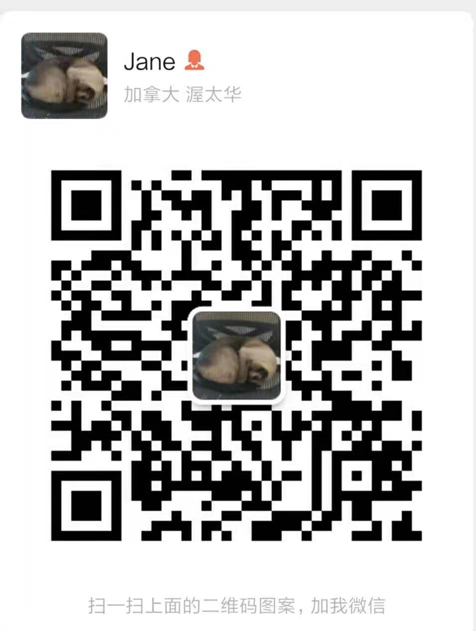 1607362797858.png