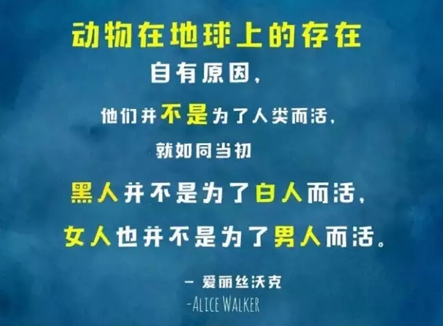 1610505358609.jpeg