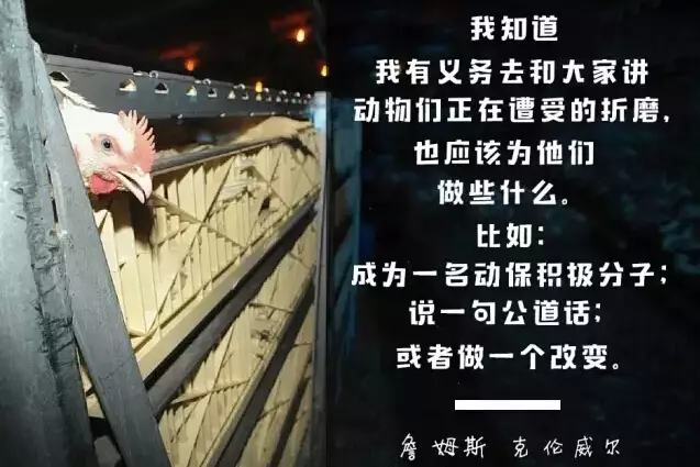 1610506173583.jpeg