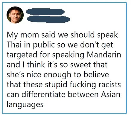 They-are-not-intelligent-enough-to-differentiate-between-Asian-languages.jpg