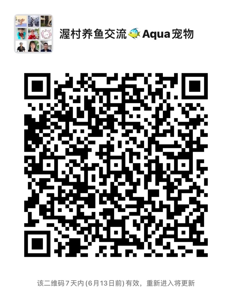 178360FE-2F07-48DE-B80A-AC311BA20612.jpeg