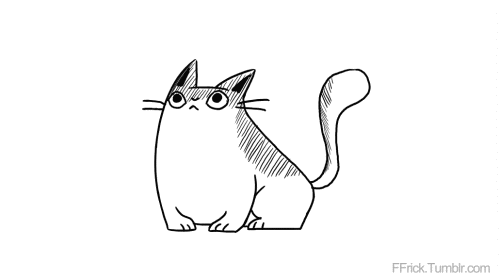 giphy.gif