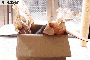 79a00895jw1dp9z4e768ag.gif
