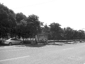 U6074P1T1D24775830F23DT20120715041333.jpg
