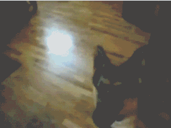 a180de74gw1e8edbbnysjg206y0577ty.gif