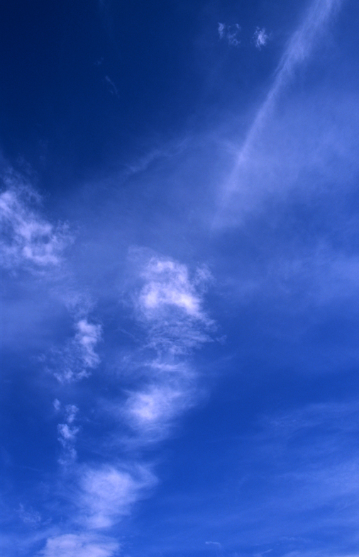 2574979452_48244afbb2_o.jpg