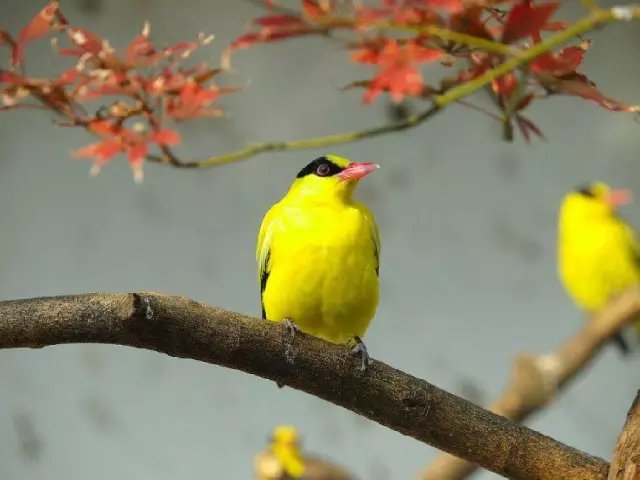 5ab5c9ea15ce36d344cf0a1836f33a87e850b1cb.jpg