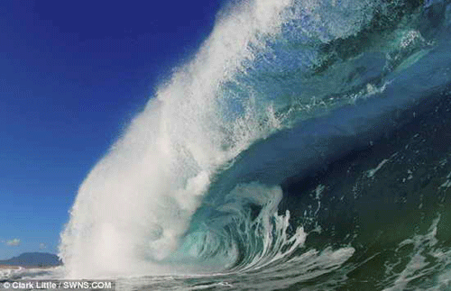200902271023058189b.gif