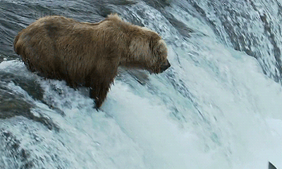 slide_355305_3896383_free.gif