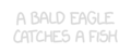 eagle.gif